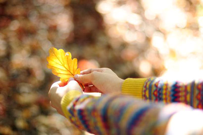 关于做事不能三心二意的名言警句-三心二意学