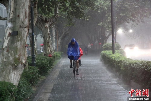 木头不导电,为什么下雨天不能躲在大树下避雨