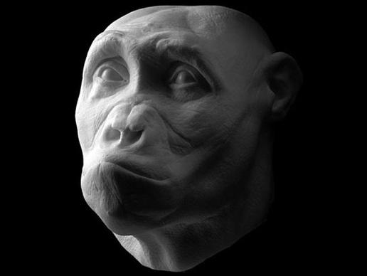 古生物学家制作出680万年前的半人半猿模型