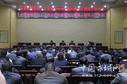 收入证明_河南农民收入