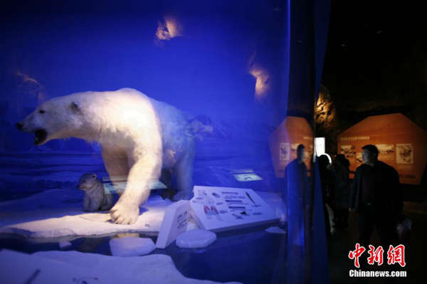 <em>天津自然博物馆</em>新馆开放 全景展示 地球生命传