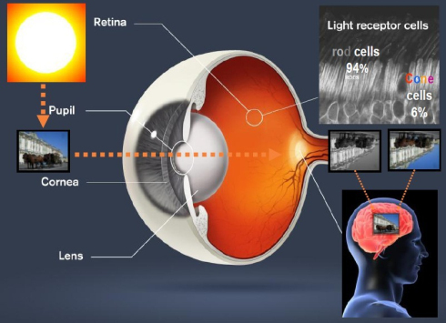 线上眼动追踪技术,续写一流咨询企业的新时代辉煌篇章