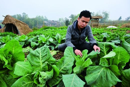 赚钱小游戏游戏操作是非常的简单，收