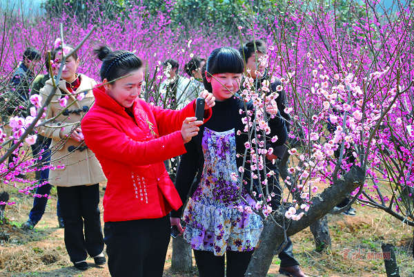 广德和合生态园百花谷