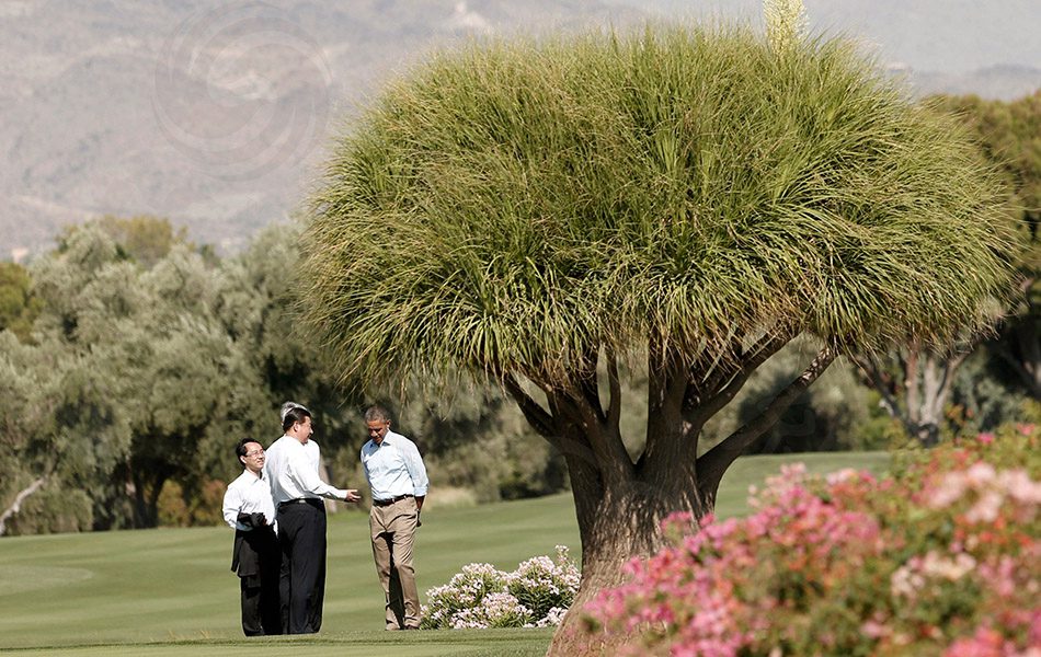 标题文字内容10