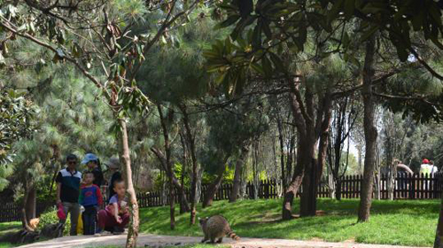 生命之旅乌萨曲谱