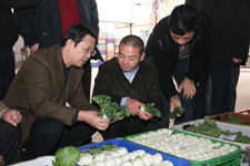 
贵州农业委员会领导关心产业发展/