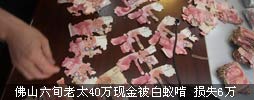 
佛山六旬老太40万现金被白蚁啃