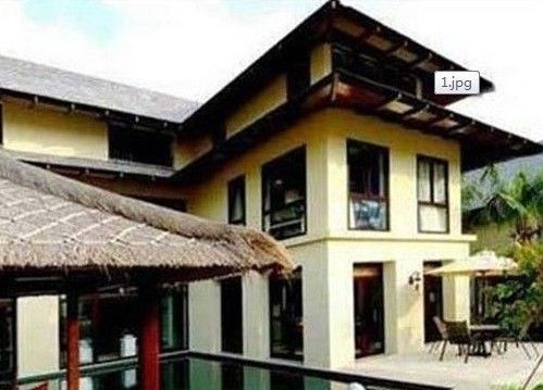 汪峰演唱会告白章子怡 盘点内地明星豪宅