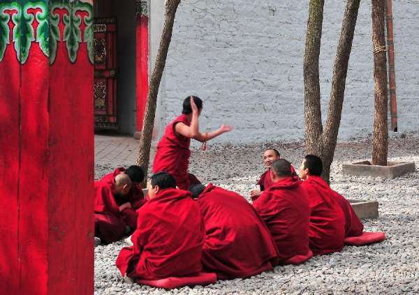 （新华网）（1）西藏强巴林寺僧人举行辩经活动