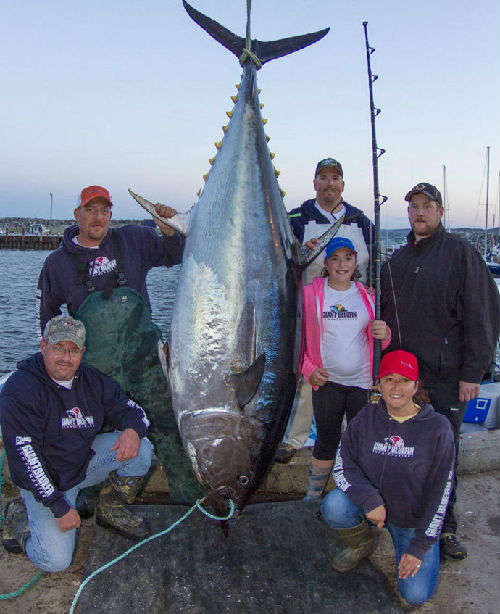 加拿大12岁女孩钓起280公斤巨型金枪鱼(高清)
