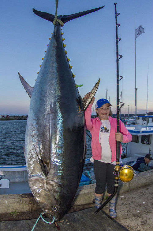加拿大12岁女孩钓起280公斤巨型金枪鱼(高清)【2】