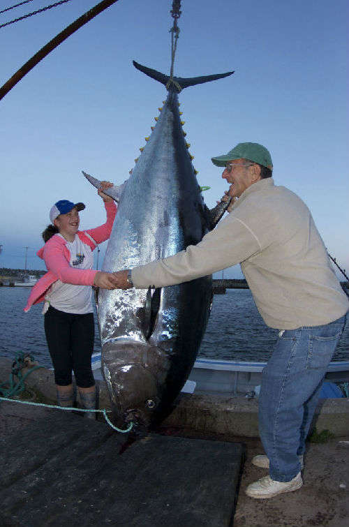 加拿大12岁女孩钓起280公斤巨型金枪鱼(高清)【3】