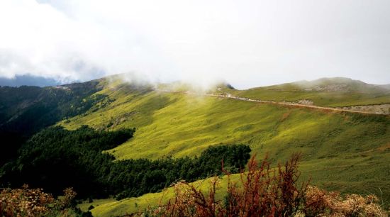 一条山路在合欢山顶盘旋，雾气氤氲，充满神秘