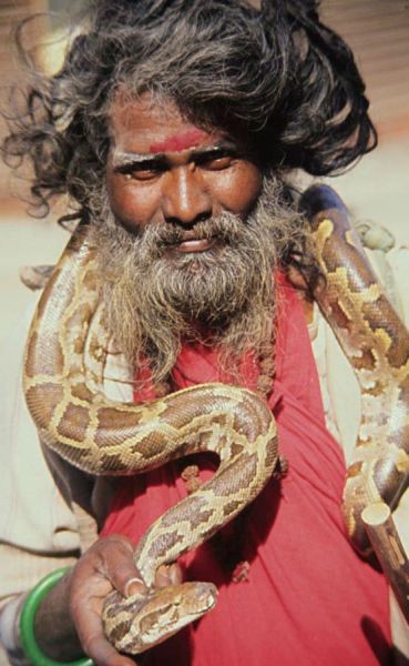 原始人类在与各种动物的斗争中,蛇必然也是一个重要的对手.