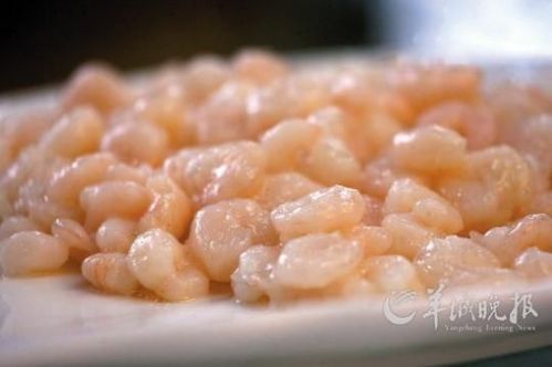 且停且行 绿柳深巷问扬州