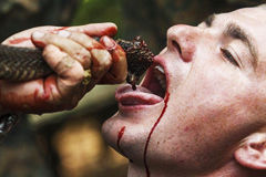 美国海军陆战队丛林演习