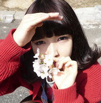 12生肖龙年健康运大预测