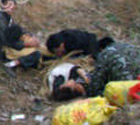 9农民惨死