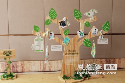 innisfree green festa 现场图片