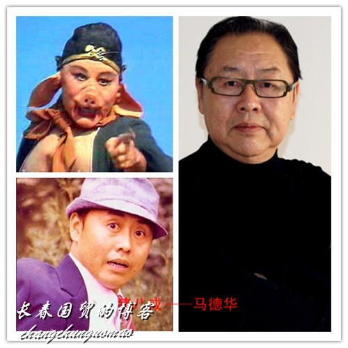 原来你们长这样啊