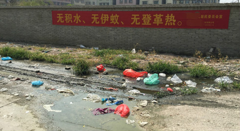 登革热