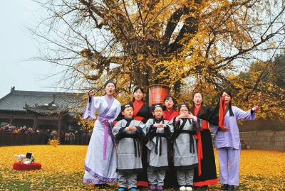 古树古刹古韵 吟诵爱好者千年银杏树下吟古诗