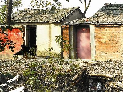  女子 救小女孩被 狗咬 重伤剧情反转 男友称系编