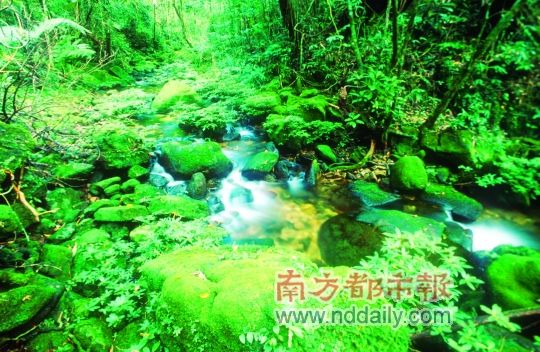 玩得尽兴玩得彻底 暑期学生游目的地精选