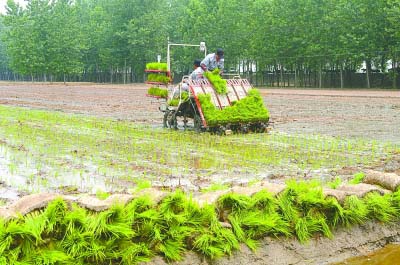 盐城盐都区秦南镇推广联耕联种1173亩