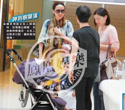 的杨思琦,未婚诞下女儿杨卓颖(krystal)后,即与其生父吴帅一刀两断,做