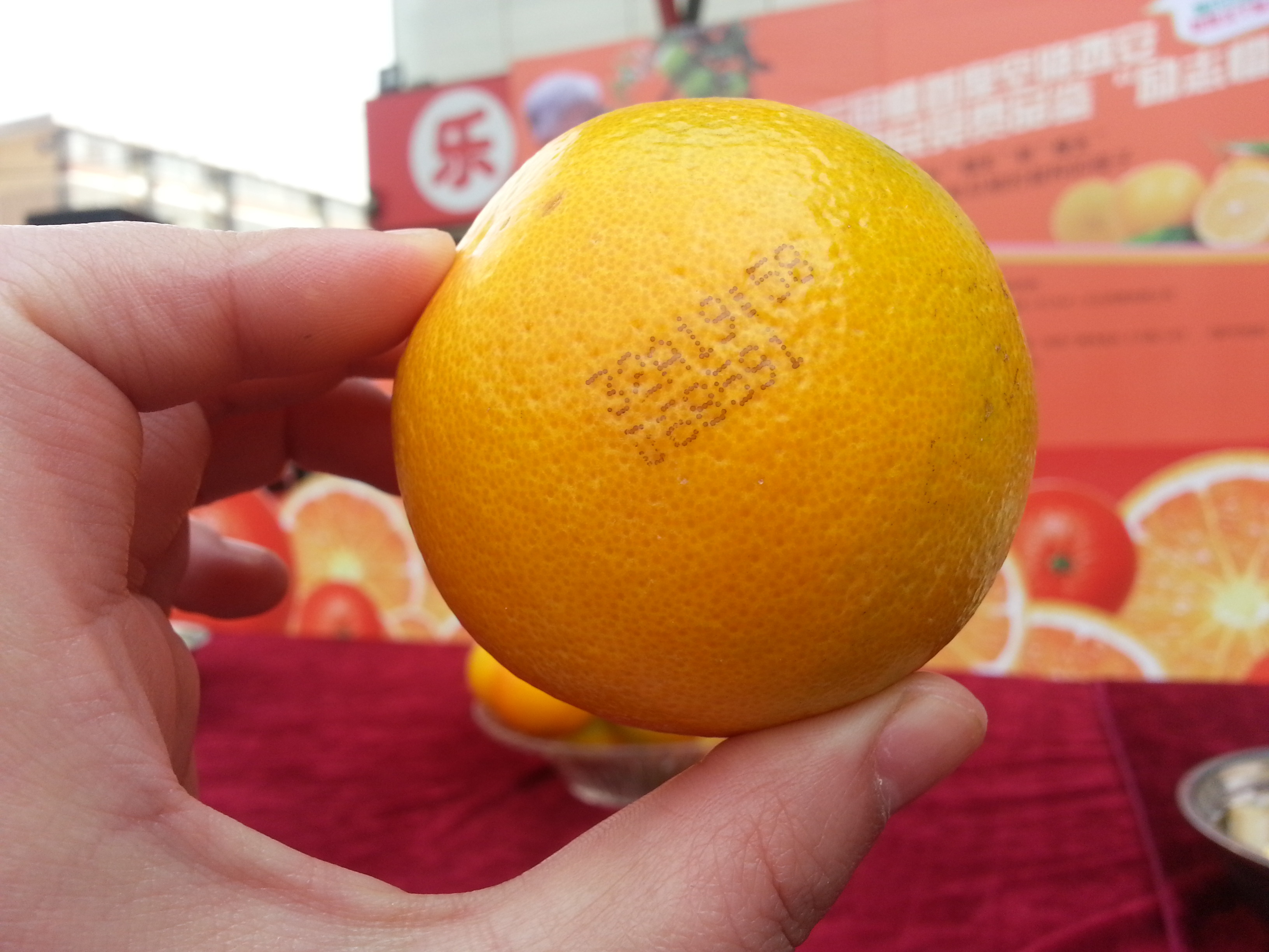 爱媛38号果冻橙 生鲜拍摄 水果拍摄 土特产美食拍摄|摄影|产品|迪芃摄影 - 原创作品 - 站酷 (ZCOOL)