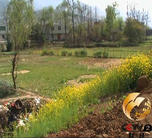 湖北国贫县斥资上亿占地百亩建豪华办公楼(图