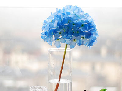 12星座北漂族的人生况味