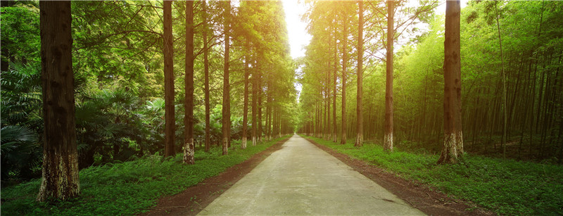 盐城 一个让人打开心扉的地方_频道_凤凰网