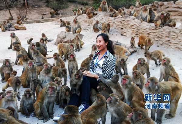 景区野生猕猴耍流氓 围住美女游客合影