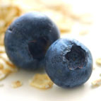 蓝莓抗氧因子