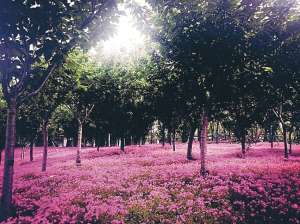 南通大学主校区