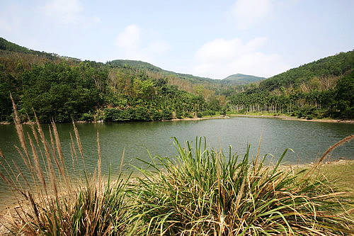 屯昌雨水岭森林公园