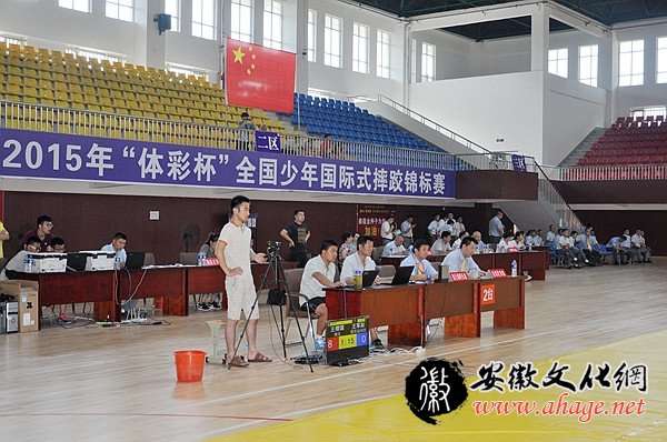 2015全国少年国际式摔跤锦标赛在凤阳举行