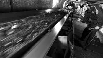 21世纪经济报道王秀强_本报记者王秀强北京报道   5月10... 航空运输等领域10家央企及3家银...(3)