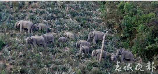 点击浏览下一页