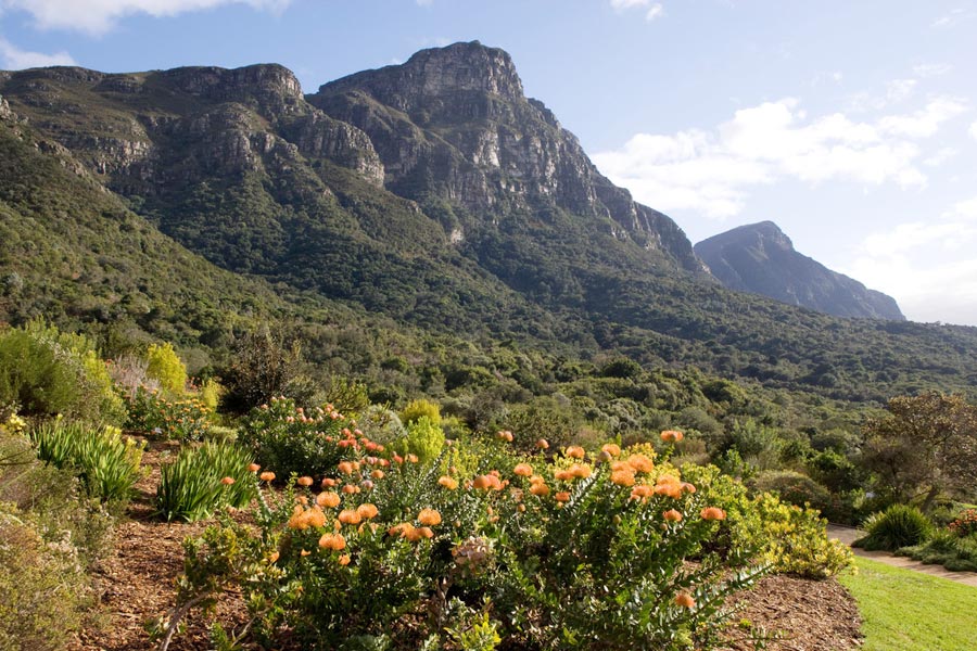 组图:全球十大最美植物园 欣赏大自然美景