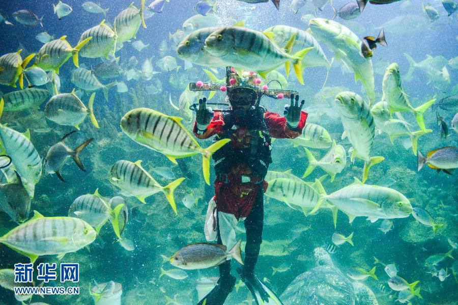 中国水族人口素质_中国水族文化旅游节在贵州三都县开幕