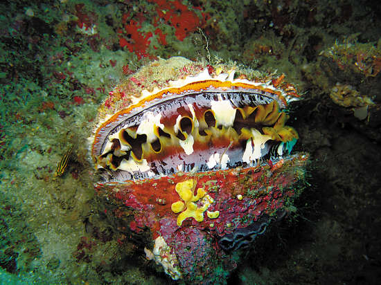 出国旅游签证新规申根签新增指纹采集