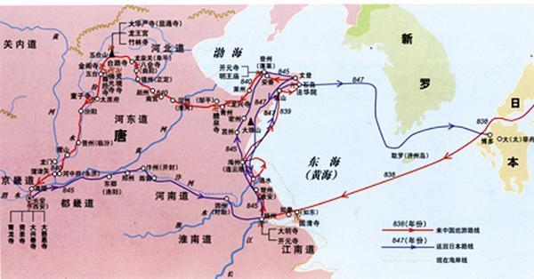 宿城区人口_今天上午,书记带领万人 点绿 宿城(2)