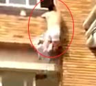 男子被捉奸裸身跳窗