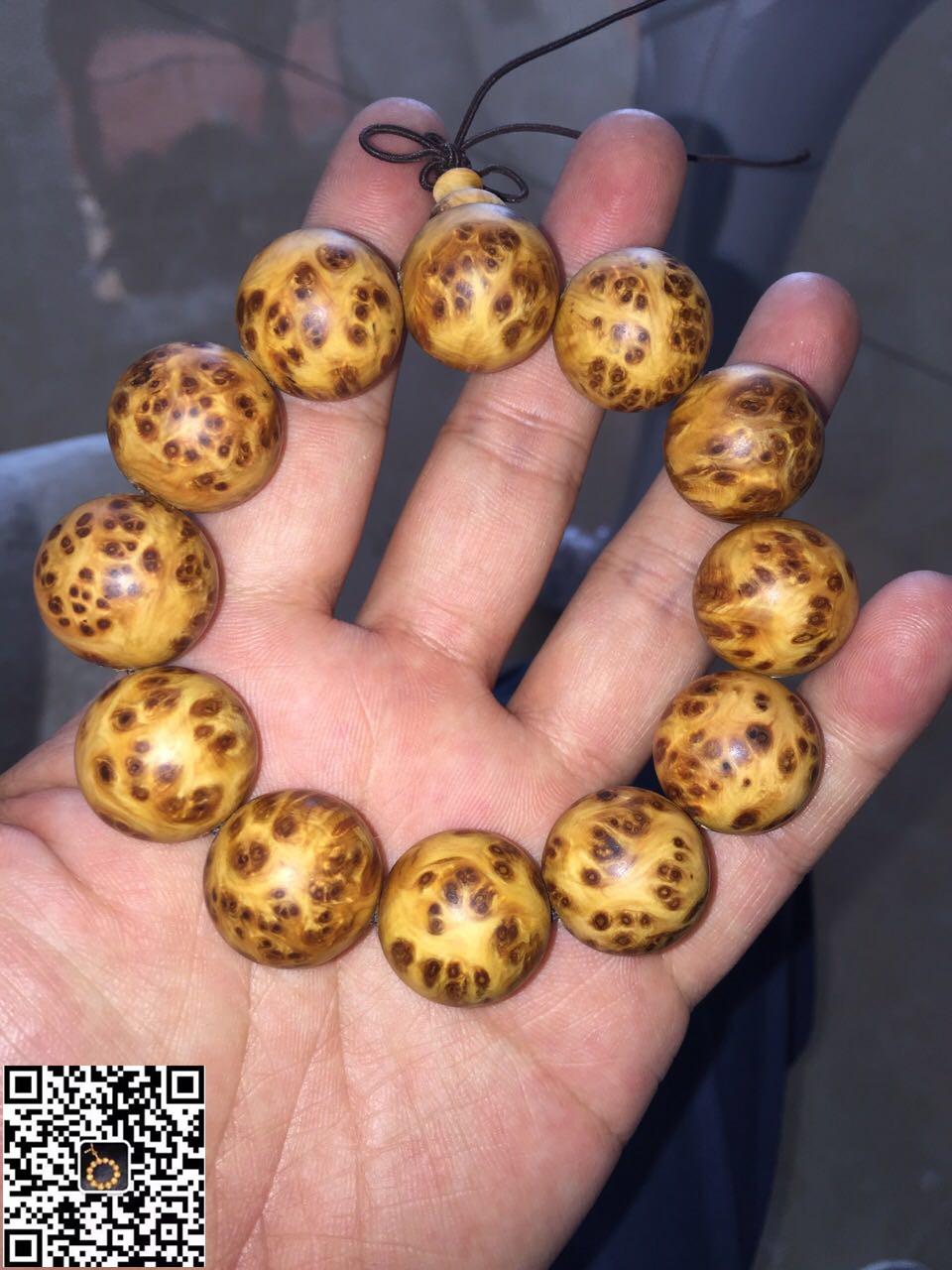 泽木堂传授终极崖柏盘玩秘籍 让你一秒变行家_海南 ...