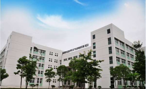 广州家愉网络科技有限公司 助推大学生自主创