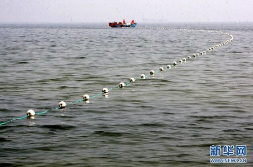 烟台浴场布设千米防鲨网 为游客提供安全环境